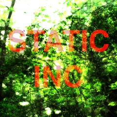 Static Inc