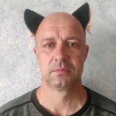 Menyabilivdetsveyoo