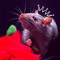 music4rats