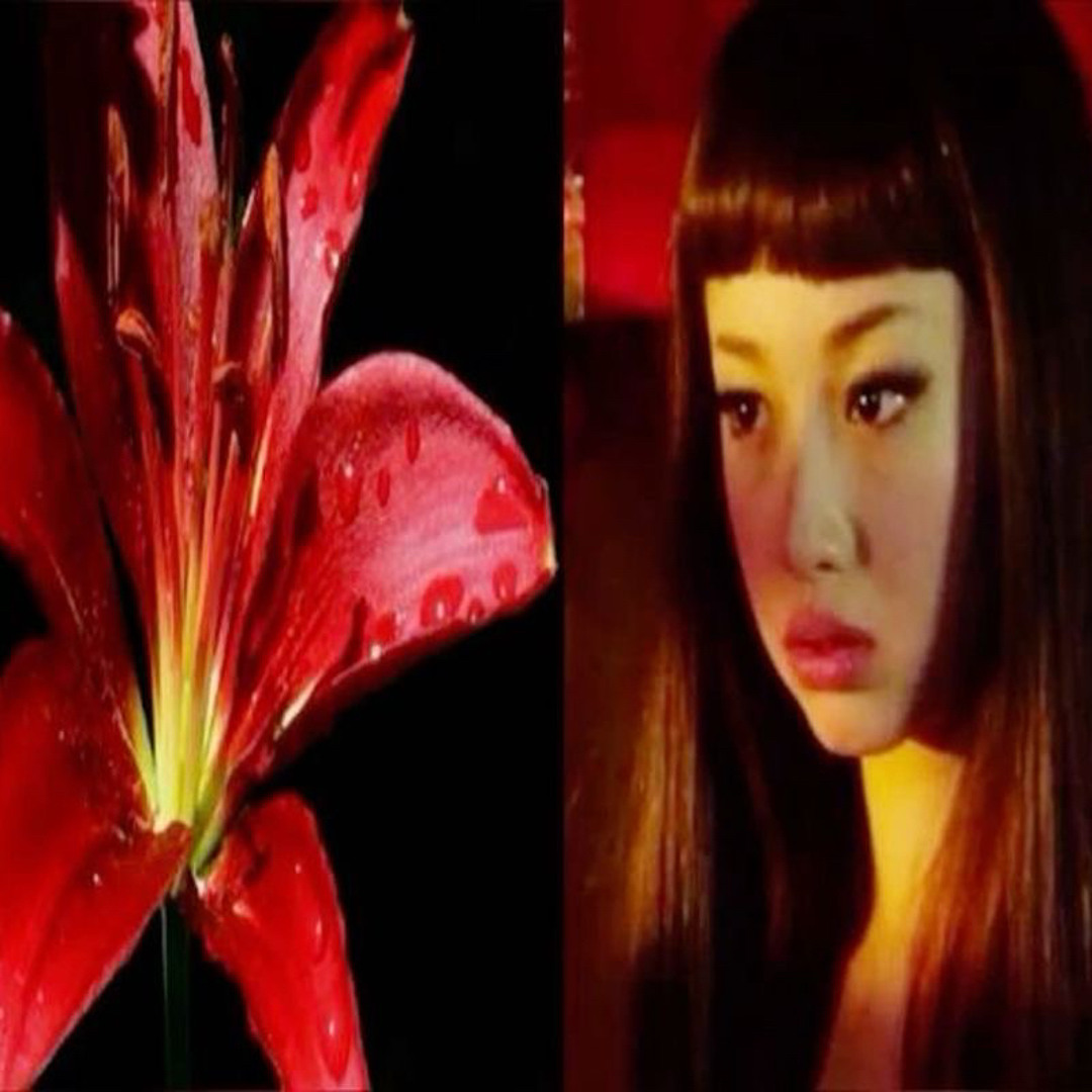 Stream kimji music | Listen to songs, albums, playlists for
