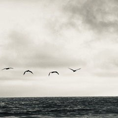 ourflowerneverblossomed