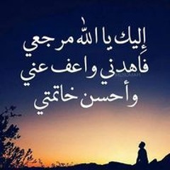 ابوحبيبه هيكل