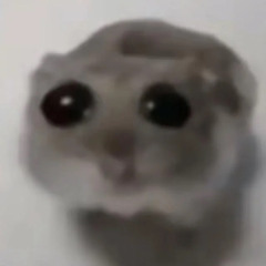 pogi