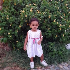 Bella Fady