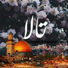 Tala Mahmoud