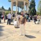 ali najafi