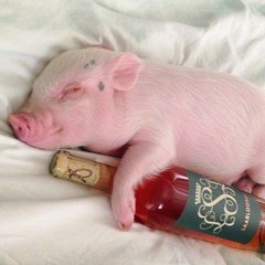 Богдан Рахель