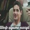 poltash