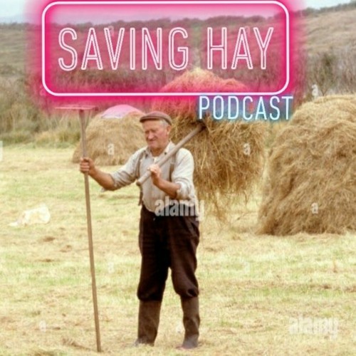 Saving Hay’s avatar