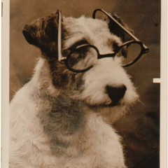 Pinkerton From the Pound