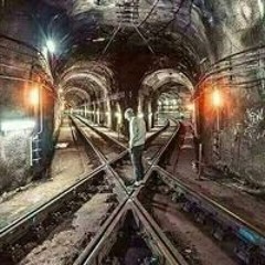 محمد حمدي النقيب