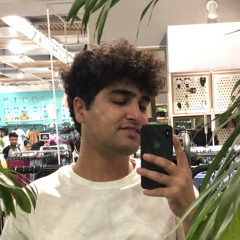 Anas Khan