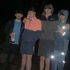 Lavo