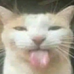 dapahehe