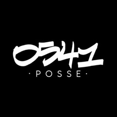 0541 Posse