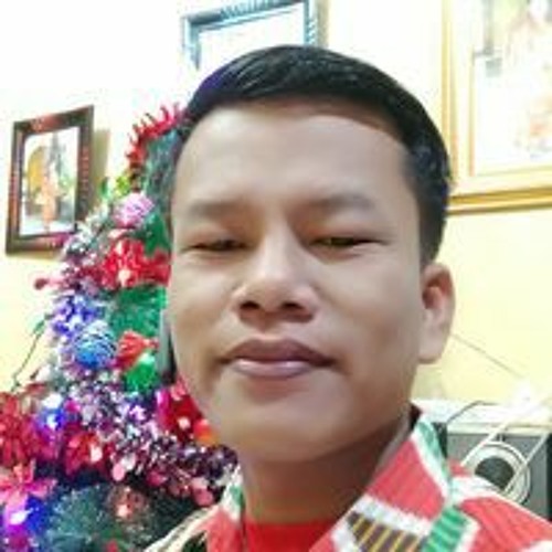 Togu Parsaulian Sembiring’s avatar