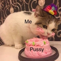 im gay as fuck