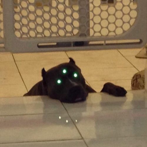 COSMIC KID - Abrázame