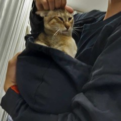 nini