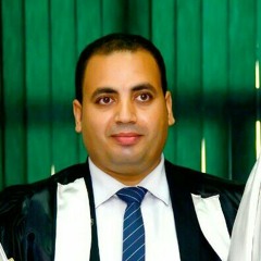 Ahmed Elgaafary