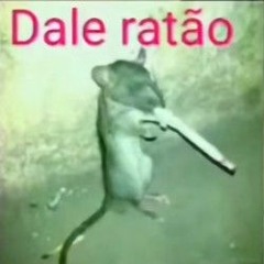 Dale ratão