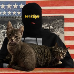 MitzStav