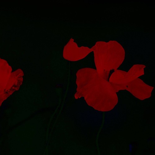 The Escape (prod JoseJones)