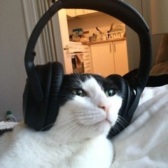 musicat