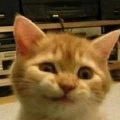 Mikebz9m