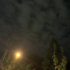wxxds2