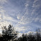 Skyy