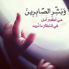 Saied Mohamed