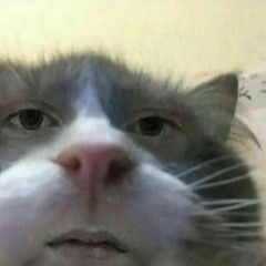 Đinh Dương Khôi Nguyên