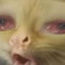 grib