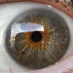 BIGSHROO🍄The Wu woo