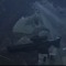 n & sean & indominus gun