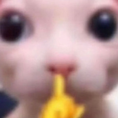 seveleven