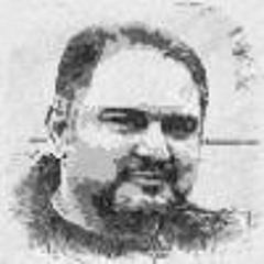 Ramin Shokouhian