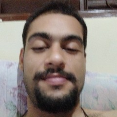 luiz mezzari