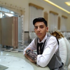 arminsoltani170