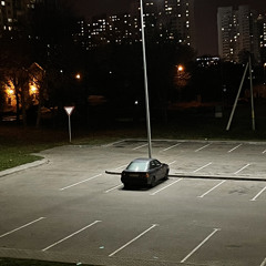 Pav31yl