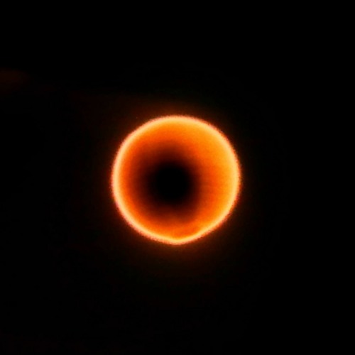 Pluto Sun’s avatar