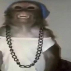lieutenantgorf