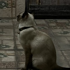 nnxrxi_