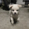 czy