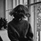 Zahraa_std