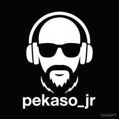 PeKaSo_JR