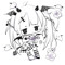 ɴᴇʟɪssᴇ ✿
