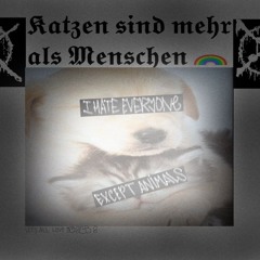 Katzen sind mehr als Menschen