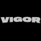 vigor dubz